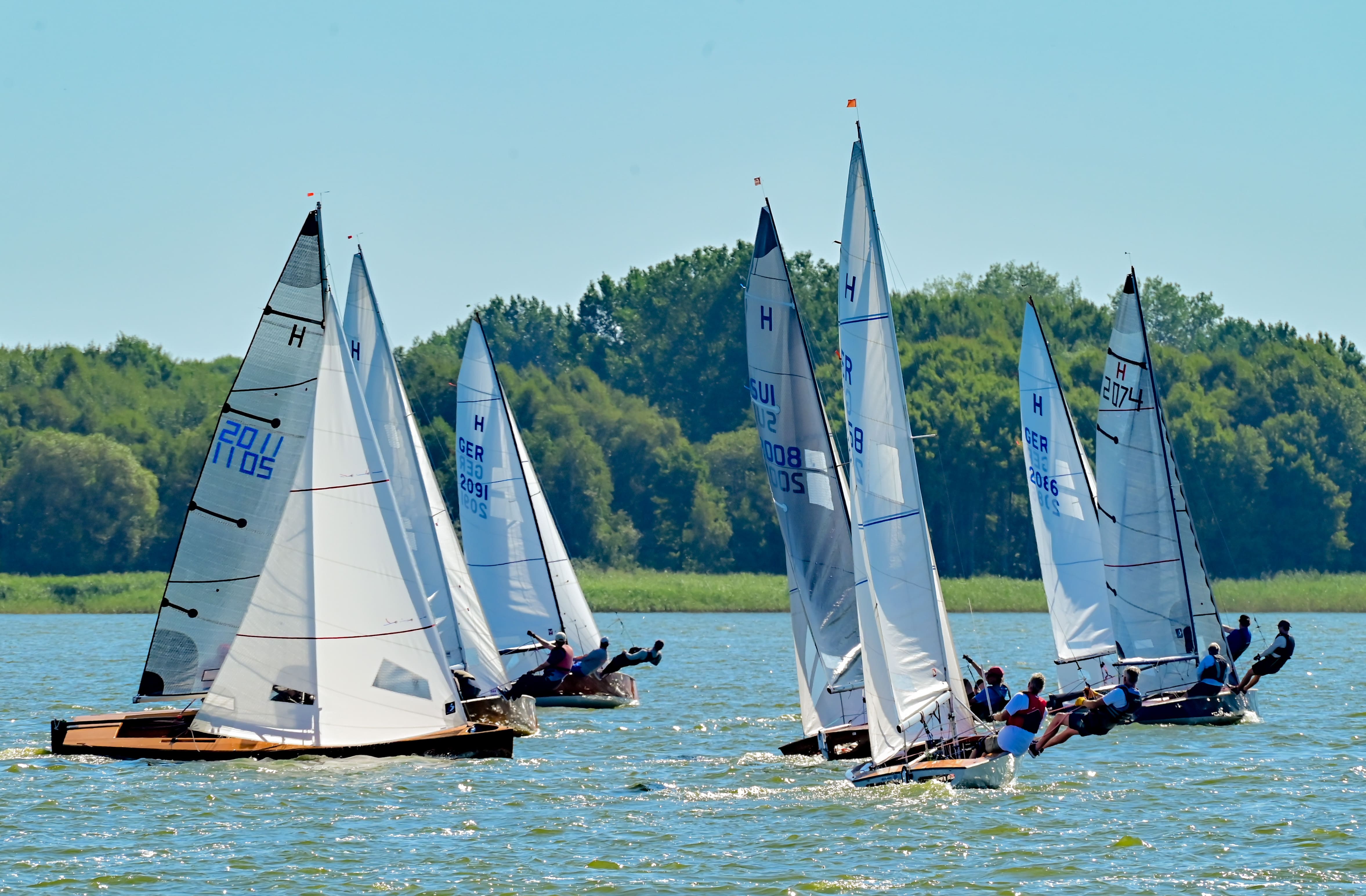 DSC_2554.jpg