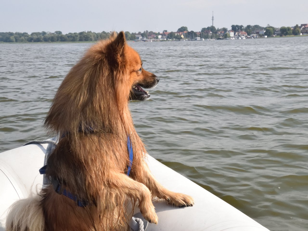 Piraten JEM und IDJoM 2024 Tag 5